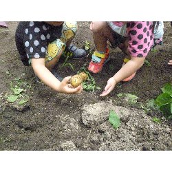 6��11���@����ۂہ@���Ⴊ�������n_28