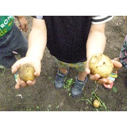 6��11���@����ۂہ@���Ⴊ�������n_29