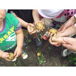 6��11���@����ۂہ@���Ⴊ�������n_30