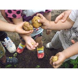 6��11���@����ۂہ@���Ⴊ�������n_31