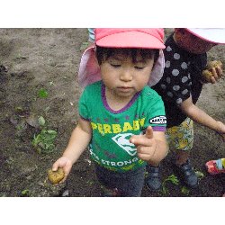 6��11���@����ۂہ@���Ⴊ�������n_32