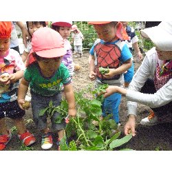 6��11���@����ۂہ@���Ⴊ�������n_34