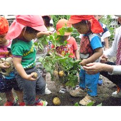 6��11���@����ۂہ@���Ⴊ�������n_35