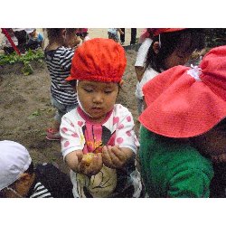 6��11���@����ۂہ@���Ⴊ�������n_36