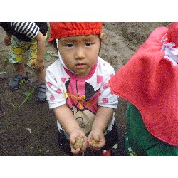 6��11���@����ۂہ@���Ⴊ�������n_37