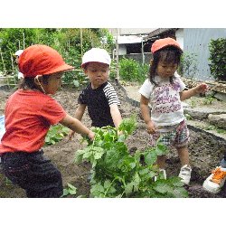 6��11���@����ۂہ@���Ⴊ�������n_38