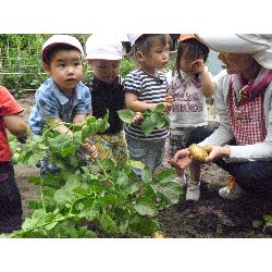 6��11���@����ۂہ@���Ⴊ�������n_39