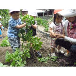 6��11���@����ۂہ@���Ⴊ�������n_40