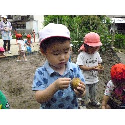 6��11���@����ۂہ@���Ⴊ�������n_41