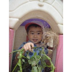 6��11���@����ۂہ@���Ⴊ�������n_48