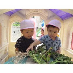 6��11���@����ۂہ@���Ⴊ�������n_49