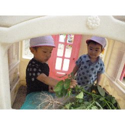 6��11���@����ۂہ@���Ⴊ�������n_50