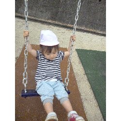 6��11���@����ۂہ@���Ⴊ�������n_52