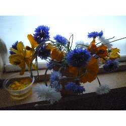 6��11���@����ۂہ@���Ⴊ�������n_67