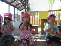 6��12���@��񂰁@����ڂ񂾂ܗV��_6