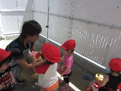 6��12���@������@���{���̓�_11