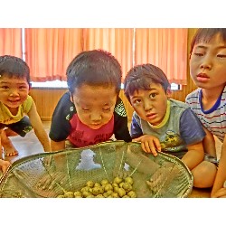 6��13���@���E���E��E�ρ@���Ⴊ�����̎��H_1