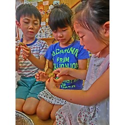 6��13���@���E���E��E�ρ@���Ⴊ�����̎��H_2