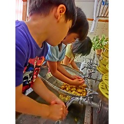 6��13���@���E���E��E�ρ@���Ⴊ�����̎��H_5