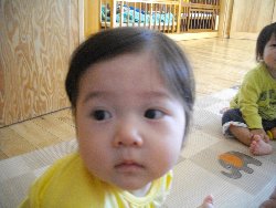 6��13���@�����@�����ł̗l�q_12