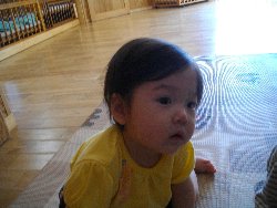 6��13���@�����@�����ł̗l�q_21