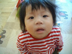 6��13���@�����@�����ł̗l�q_41