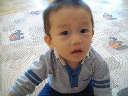 6��13���@�����@�����ł̗l�q_43