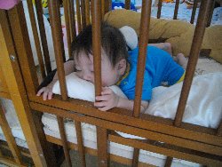 6��13���@�����@�����ł̗l�q_73