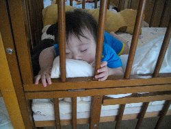 6��13���@�����@�����ł̗l�q_74