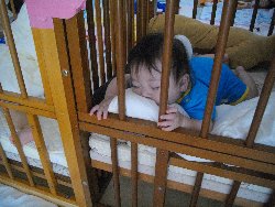 6��13���@�����@�����ł̗l�q_75