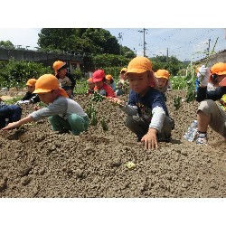 6��14���@�Ђ܂��@���܂����̂�A��_2