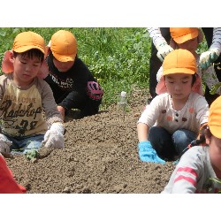 6��14���@�Ђ܂��@���܂����̂�A��_3