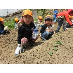 6��14���@�Ђ܂��@���܂����̂�A��_4