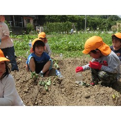 6��14���@�Ђ܂��@���܂����̂�A��_6