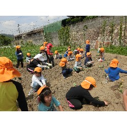 6��14���@�Ђ܂��@���܂����̂�A��_7