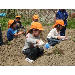 6��14���@�Ђ܂��@���܂����̂�A��_8