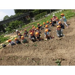 6��14���@�Ђ܂��@���܂����̂�A��_9