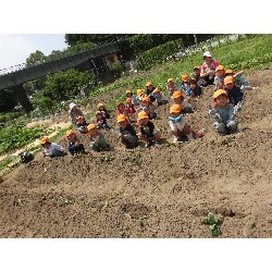 6��14���@�Ђ܂��@���܂����̂�A��_10