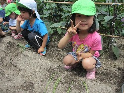 6��14���@�����@���܂����̂�A��_1