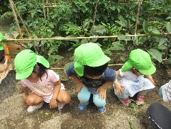 6��14���@�����@���܂����̂�A��_2