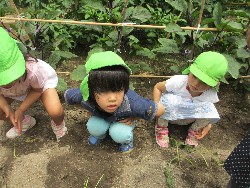 6��14���@�����@���܂����̂�A��_3