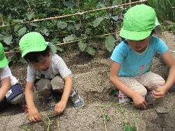 6��14���@�����@���܂����̂�A��_4