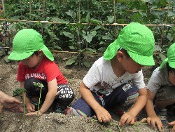 6��14���@�����@���܂����̂�A��_5