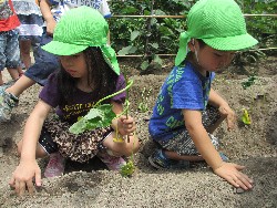 6��14���@�����@���܂����̂�A��_6