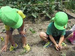 6��14���@�����@���܂����̂�A��_7