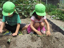 6��14���@�����@���܂����̂�A��_8