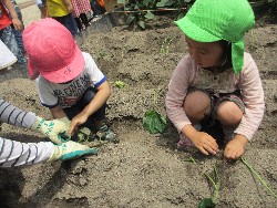 6��14���@�����@���܂����̂�A��_9