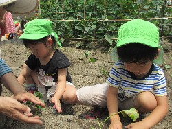 6��14���@�����@���܂����̂�A��_10