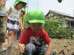 6��14���@�����@���܂����̂�A��_11