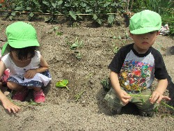 6��14���@�����@���܂����̂�A��_12